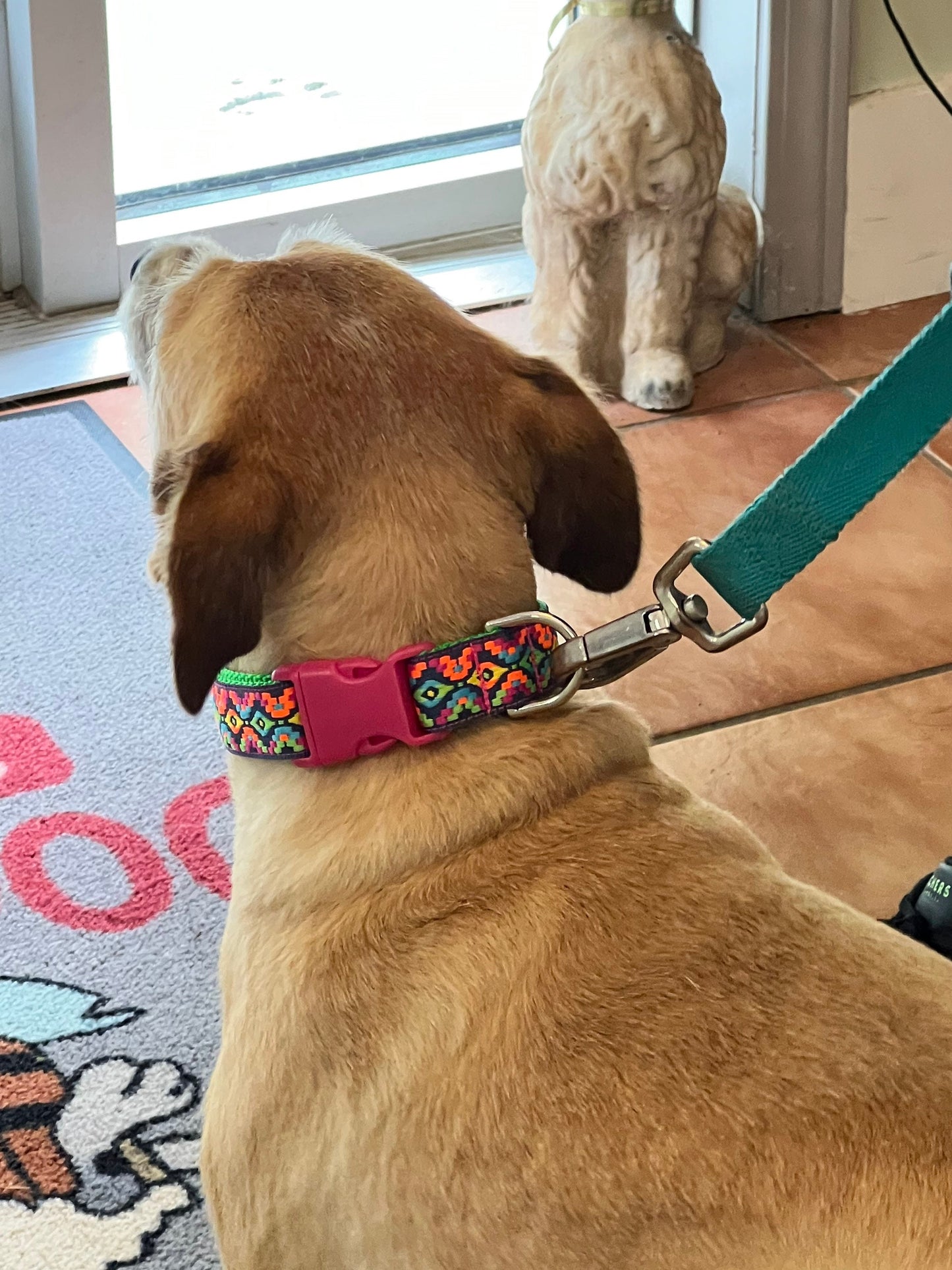 Sante Fe collar - Winni&Me Woofwear