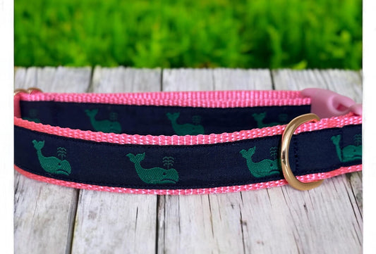 A Whale of a Good Time Dog Collar - Winni&Me Woofwear