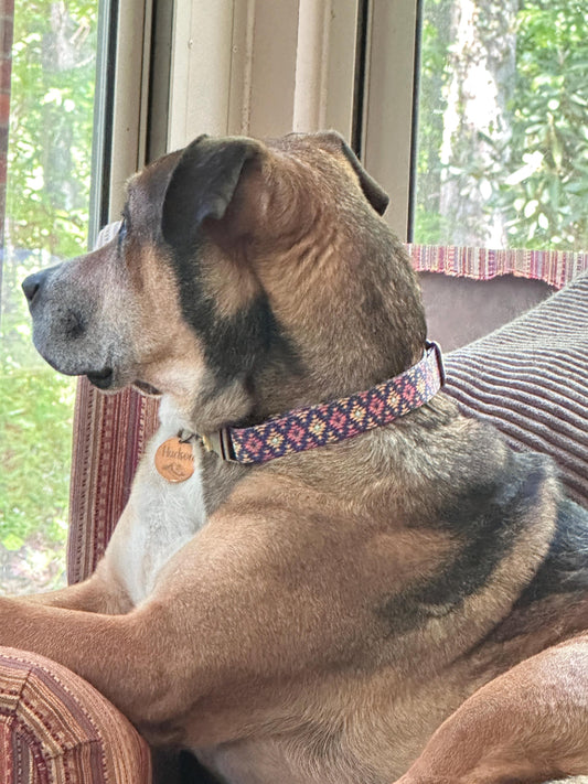 Patterned Dog Collar/Southwest - Winni&Me Woofwear
