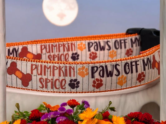 Paw off My Pumpkin Spice Dog Collar - Winni&Me Woofwear