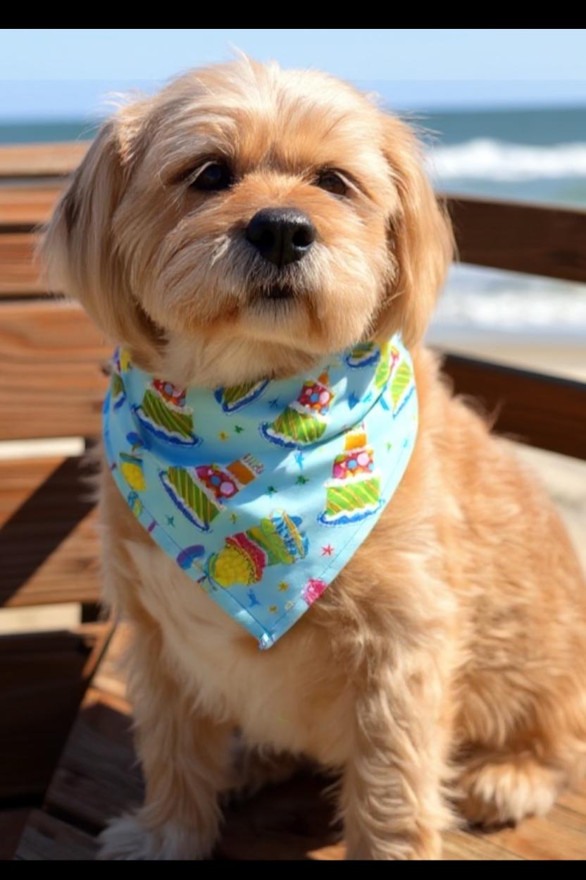 Happy Birthday Personalized Bandana w/Optional Personalization - Winni&Me Woofwear