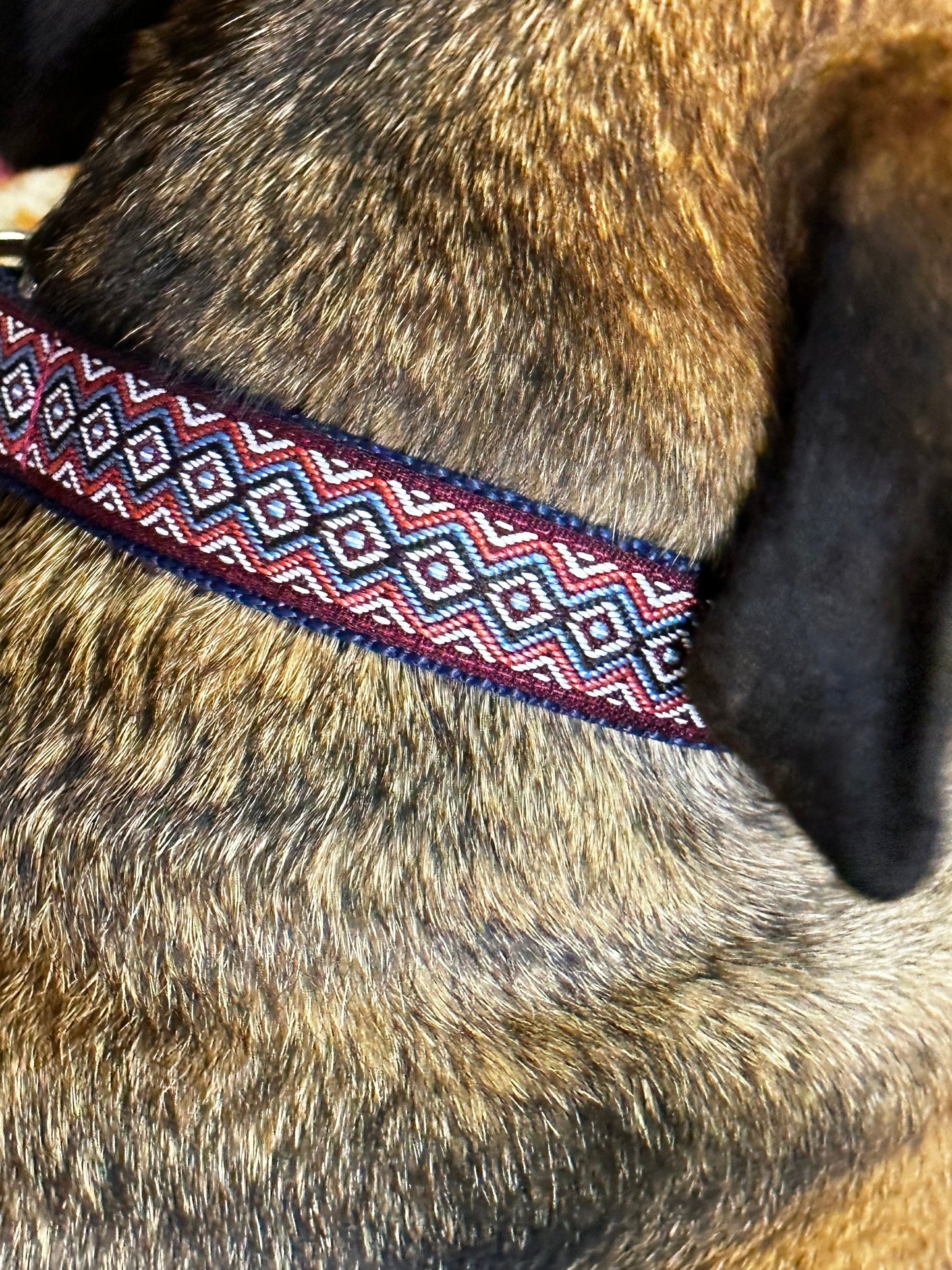 Boho Martingale Dog Collar