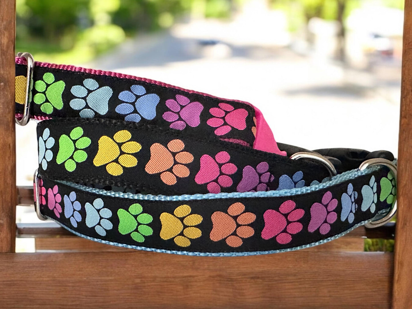 Doggy Paws Dog Collar/Colorful Paw Prints/Rainbow of Colors