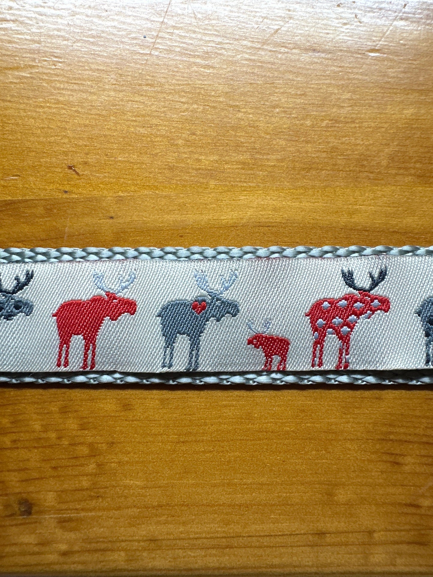 Moose on the Loose Dog Collar/Moose/Outdoors & Wildlife