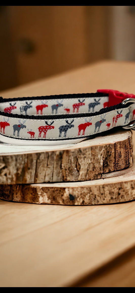 Moose on the Loose Dog Collar/Moose/Outdoors & Wildlife