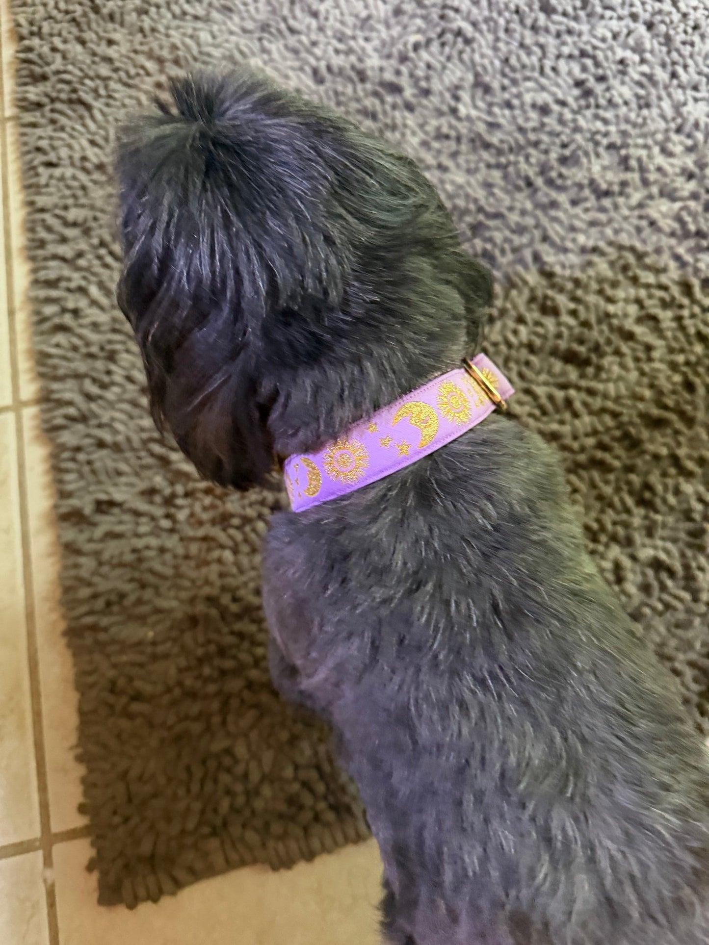 Celestial Moon and Sun on Purple Dog Collar (Optional Personalized Engraved Metal Buckle) - Dog Collars - Winni&Me Woofwear