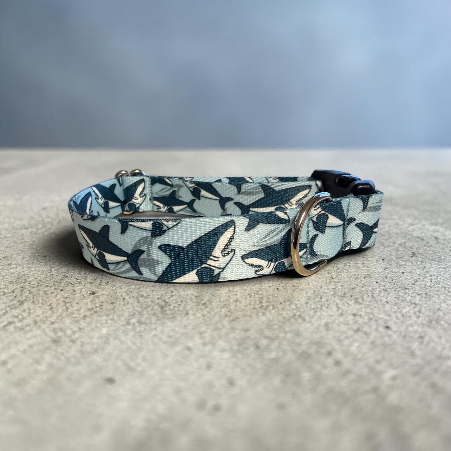 Shark Attack Dog Collar - Dog Collars - Winni&Me Woofwear