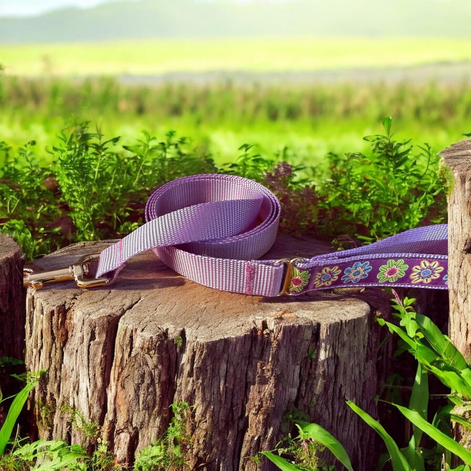 Collar and Leash Sets - Winni&Me Woofwear