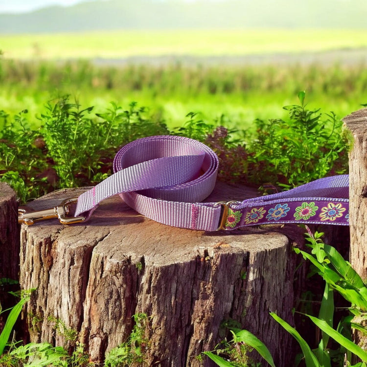 Collar and Leash Sets - Winni&Me Woofwear