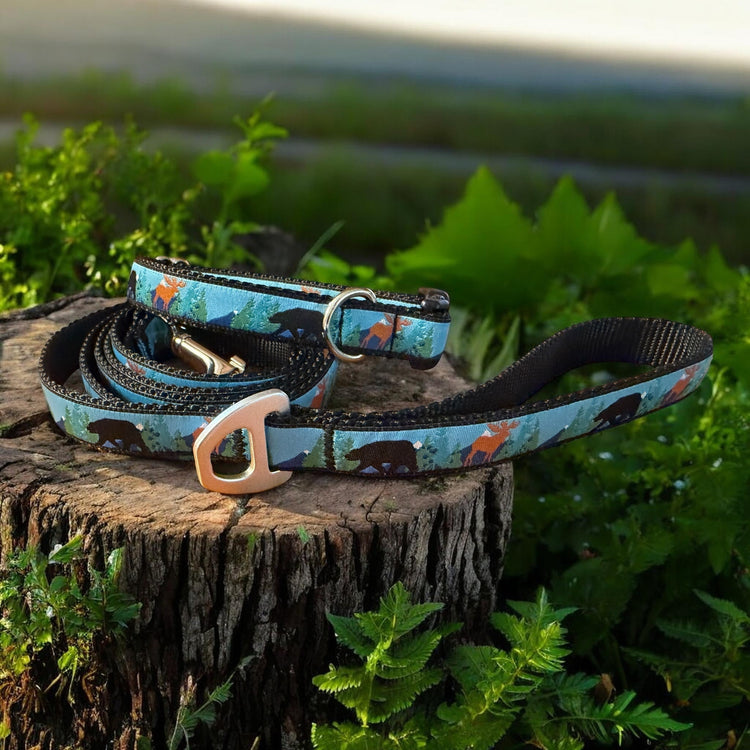 Dog Leashes - Winni&Me Woofwear