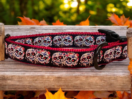 Skull Art Dog Collar - Winni&Me Woofwear