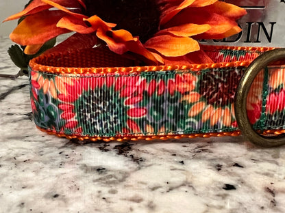 SunFlowers Dog Collar/Fall Flowers/Fall Colors