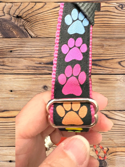 Doggy Paws Dog Collar/Colorful Paw Prints/Rainbow of Colors