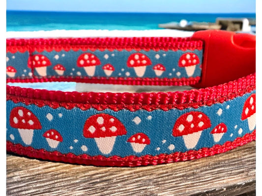 Sh’room Dog Collar