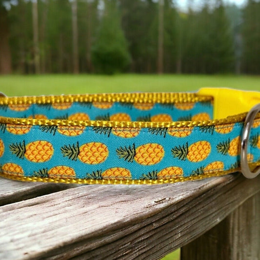 Golden Pineapples on Blue Dog Collar