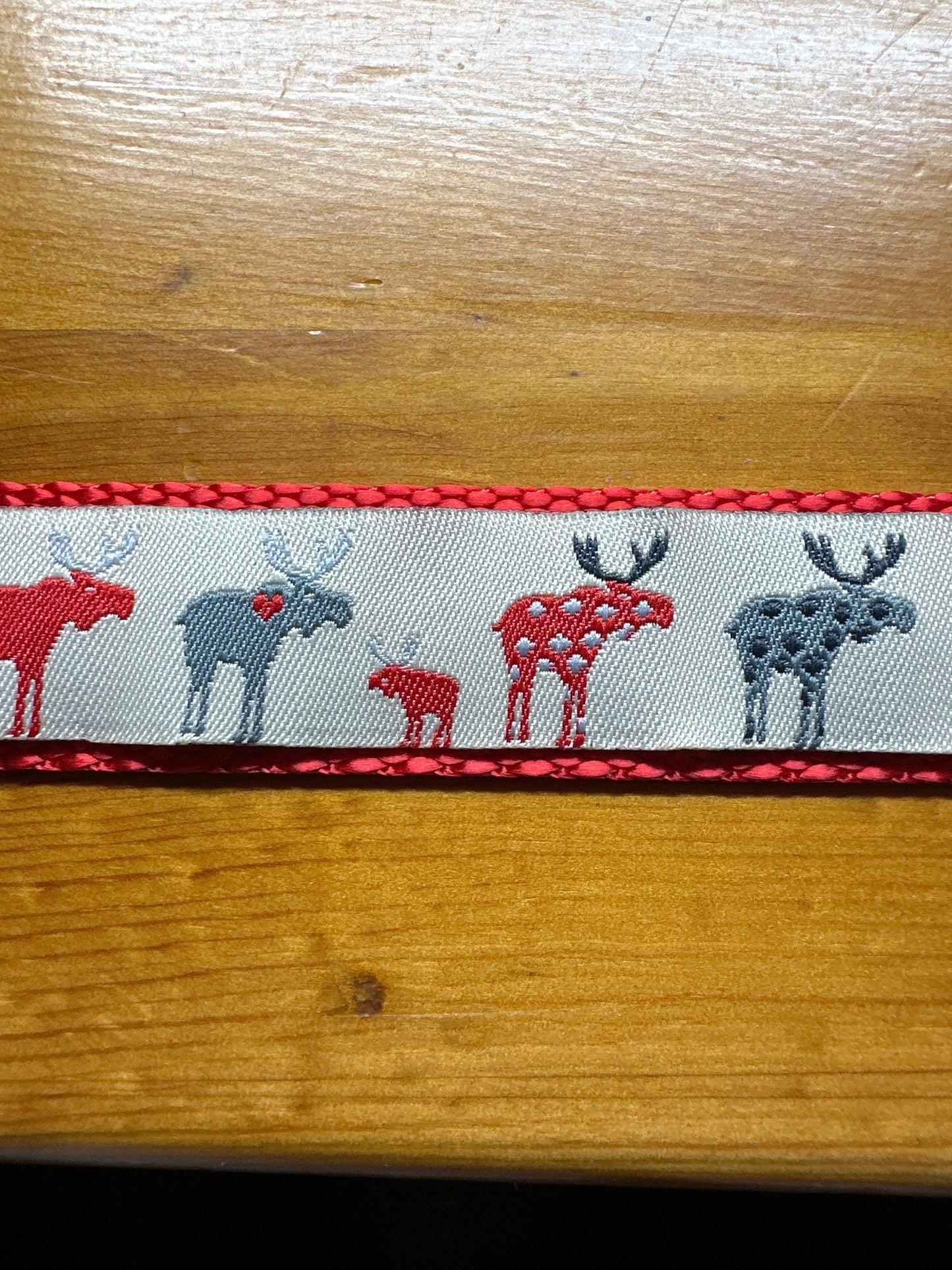 Moose on the Loose Dog Collar/Moose/Outdoors & Wildlife