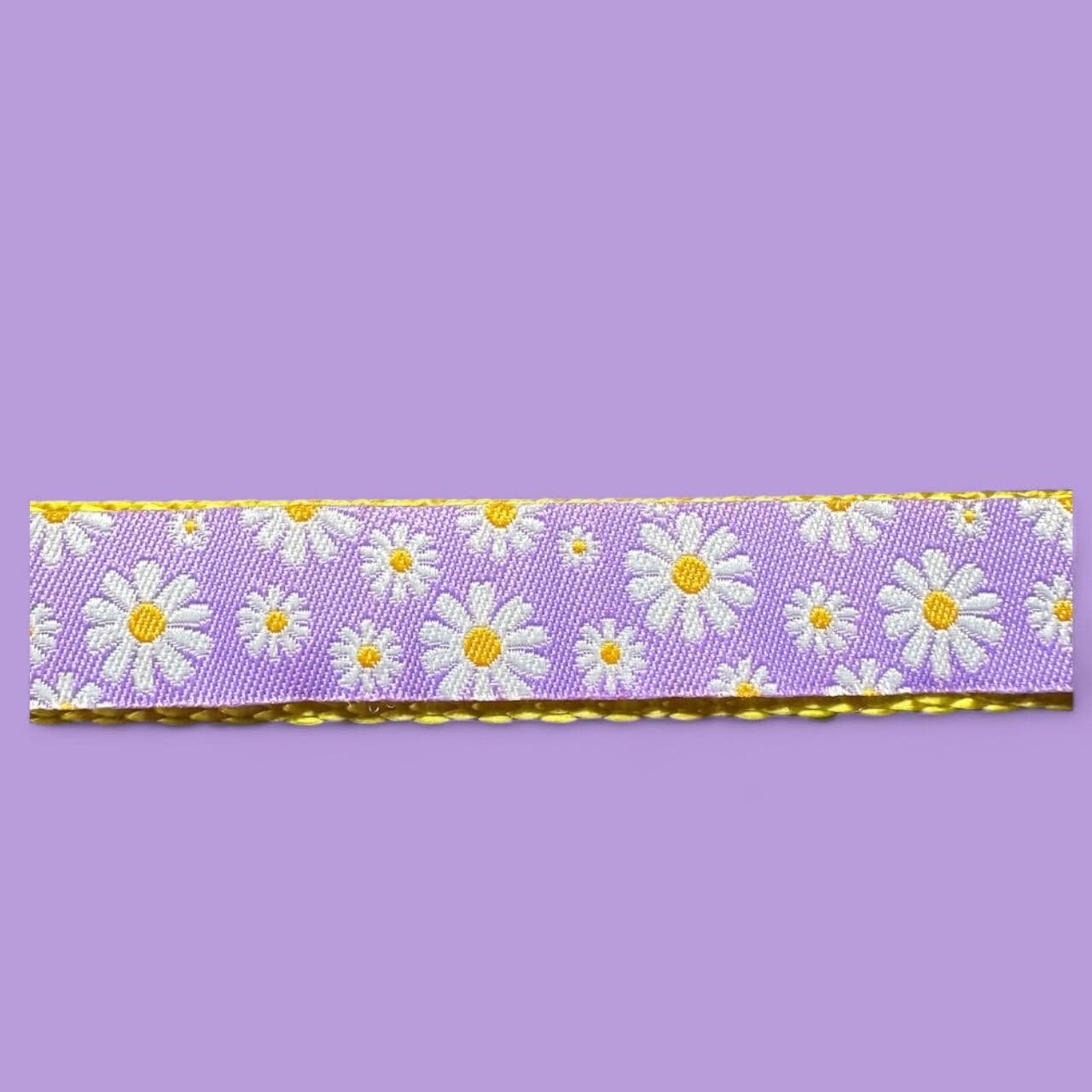 Spring Daisies Dog Collar