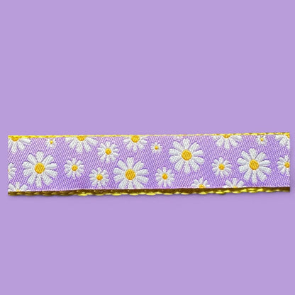 Spring Daisies Dog Collar