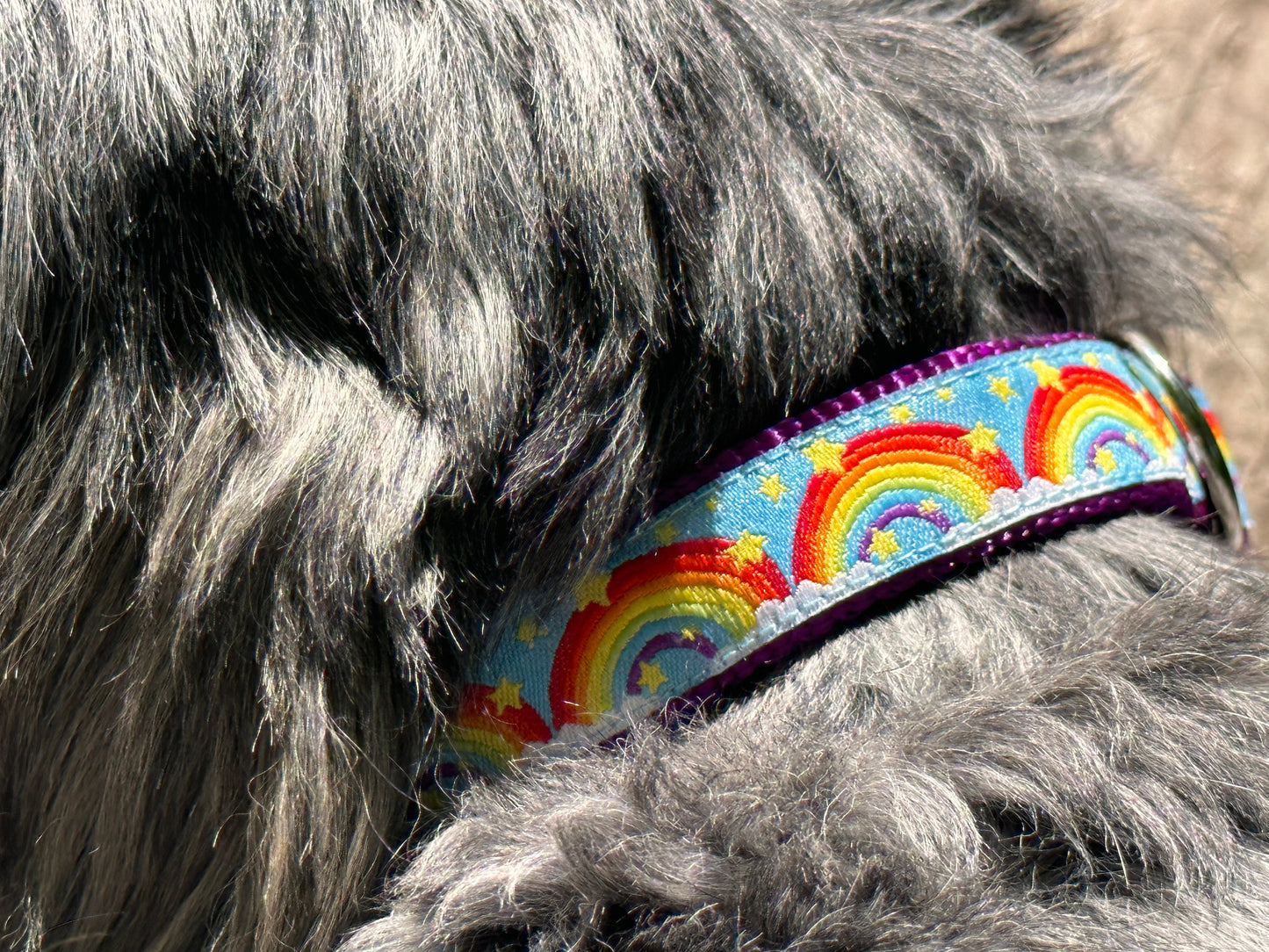 Rainbow Connection Dog Collar