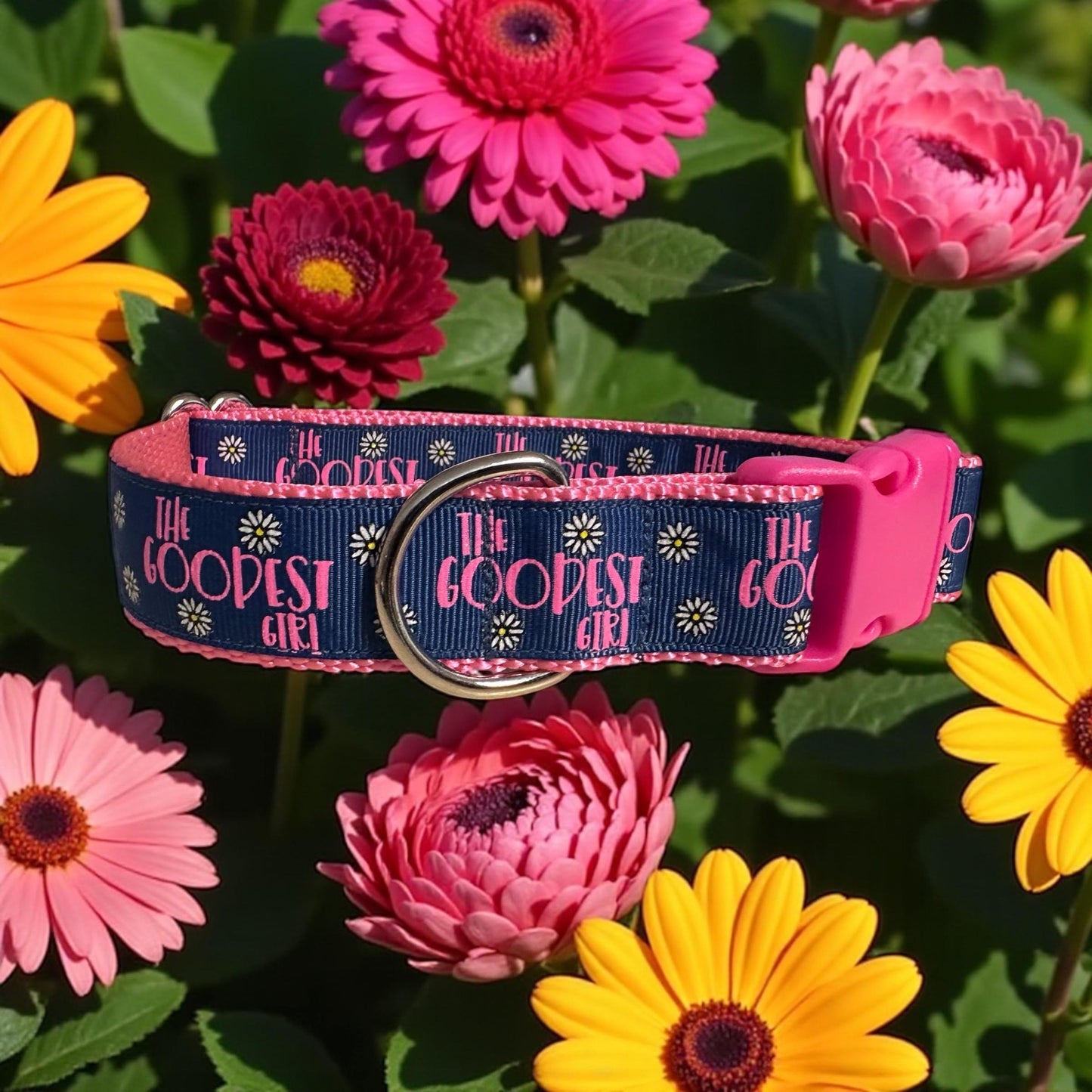 The Goodest Girl Dog Collar/Best Dog Ever - Winni&Me Woofwear