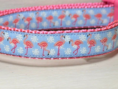 Pink Flamingos Dog Collar