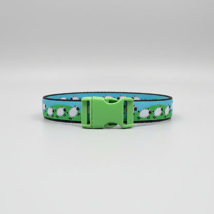 Counting Sheep Dog Collar/Spring Colors