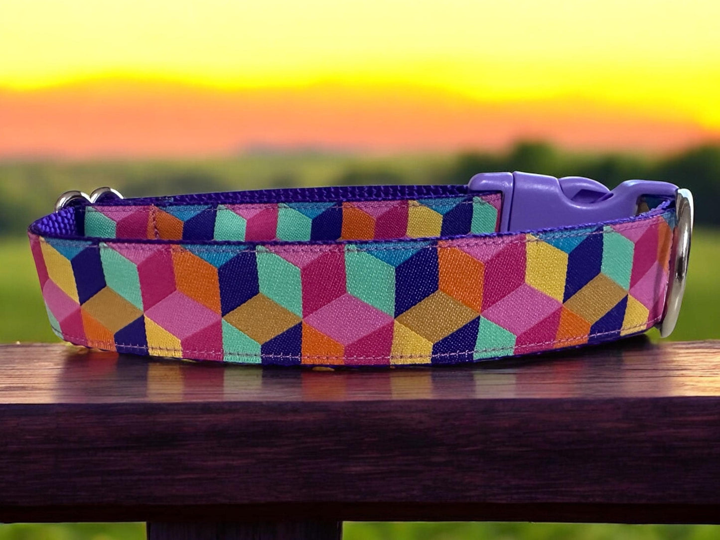 Color in 3D, Retro Geometric Pattern Dog Collar