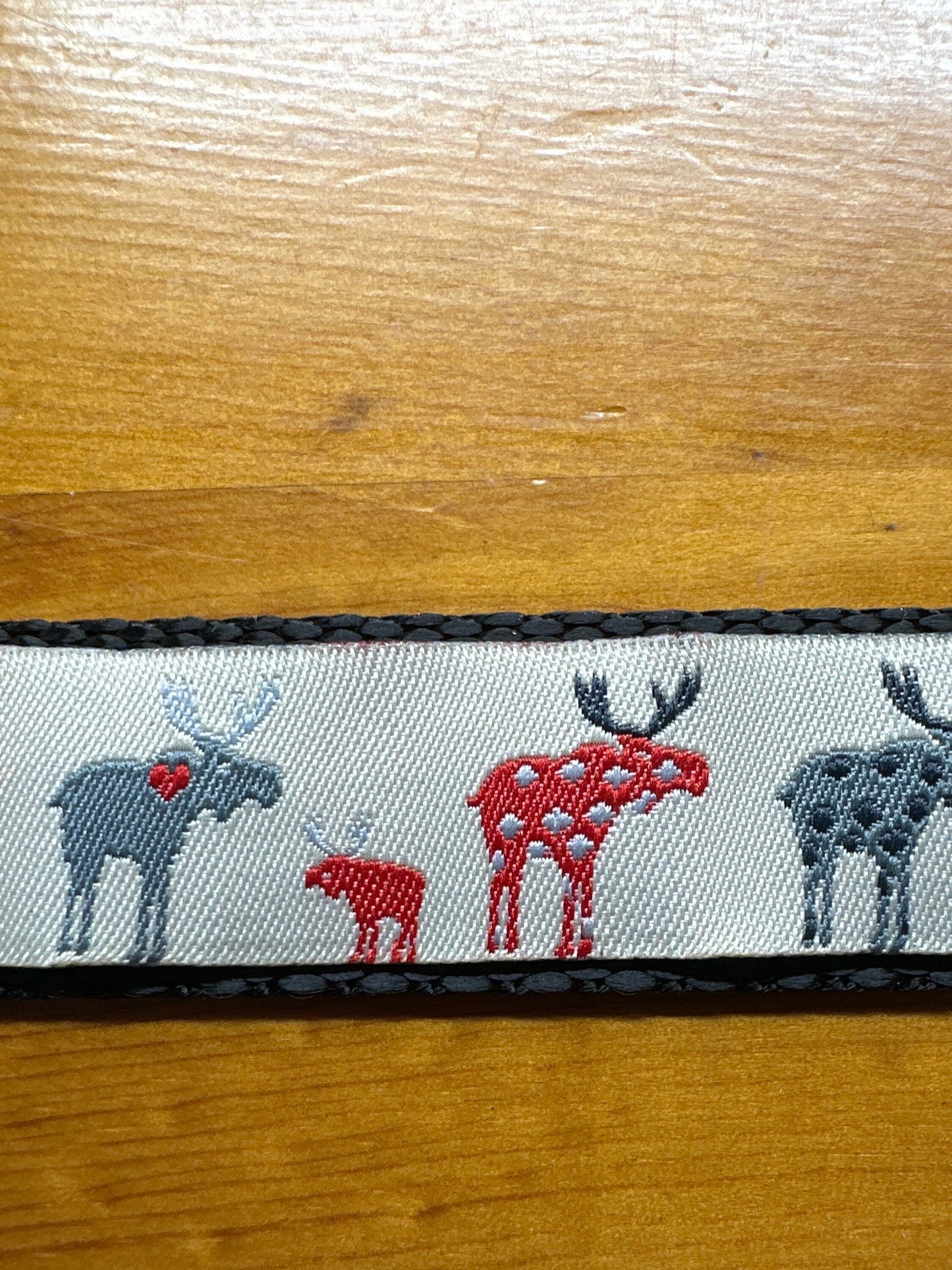 Moose on the Loose Dog Collar/Moose/Outdoors & Wildlife