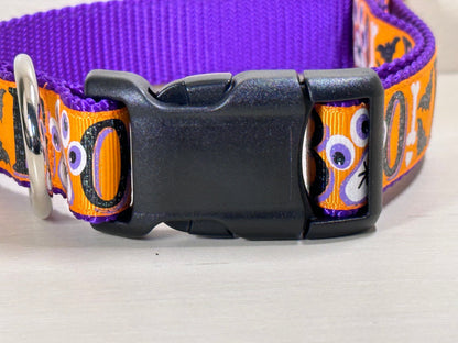 Spooky BOO Dog Collar