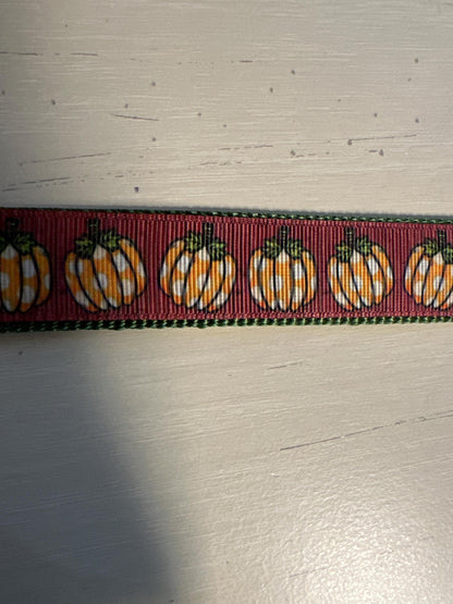Pumpkin Patch Dog Collar/Fall Pumpkins/Autumn Accessories