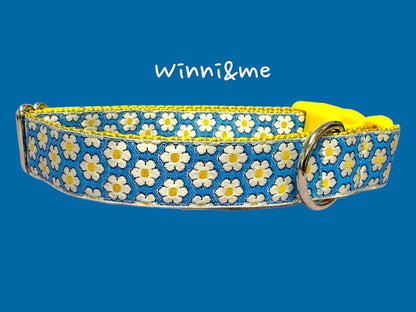 Daisy’s Dog Collar