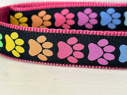 Doggy Paws Dog Collar/Colorful Paw Prints/Rainbow of Colors