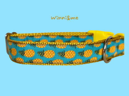 Golden Pineapples on Blue Dog Collar