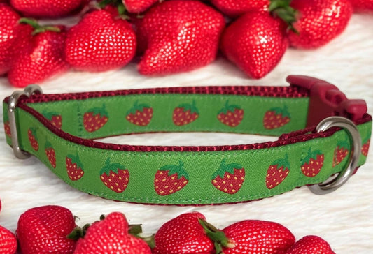 Strawberry Fields Forever Dog Collar - Winni&Me Woofwear