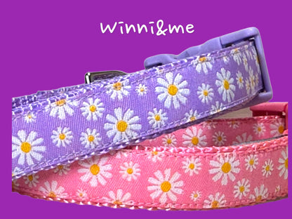 Spring Daisies Dog Collar