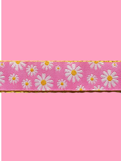 Spring Daisies Dog Collar