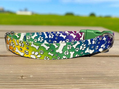 Colorful Rainbow Dog Collar with Bones & Paws
