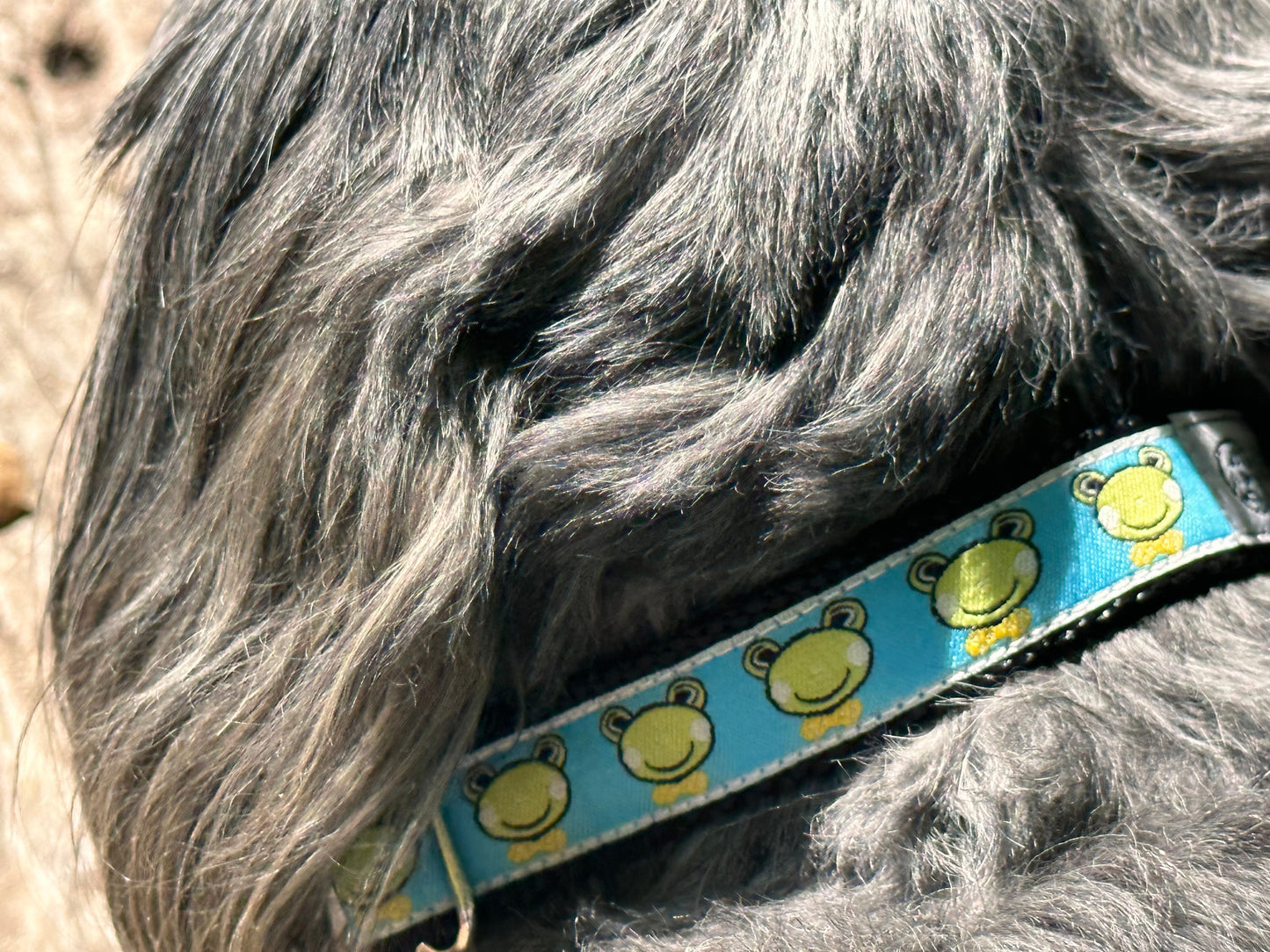 Froggy Freshness Dog Collar