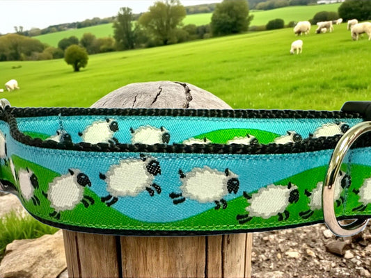 Counting Sheep Dog Collar/Spring Colors