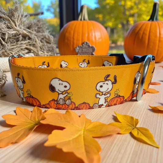 White Beagle Fall Dog Collar: Pumpkin Patch Design, Handmade