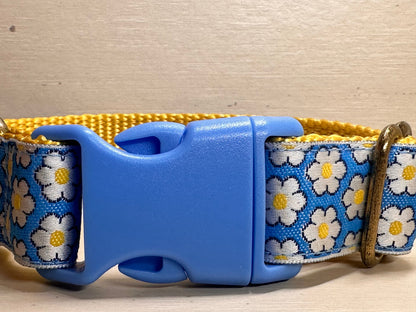 Daisy’s Dog Collar