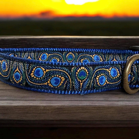 Winni&Me Woofwear Peacock Feather Dog Collar