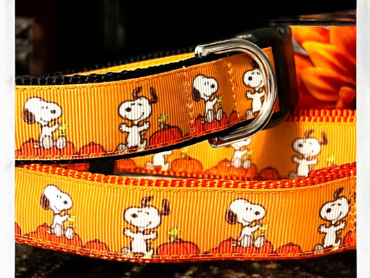 White Beagle Fall Dog Collar: Pumpkin Patch Design, Handmade
