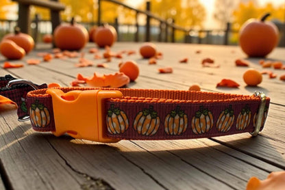 Pumpkin Patch Dog Collar/Fall Pumpkins/Autumn Accessories