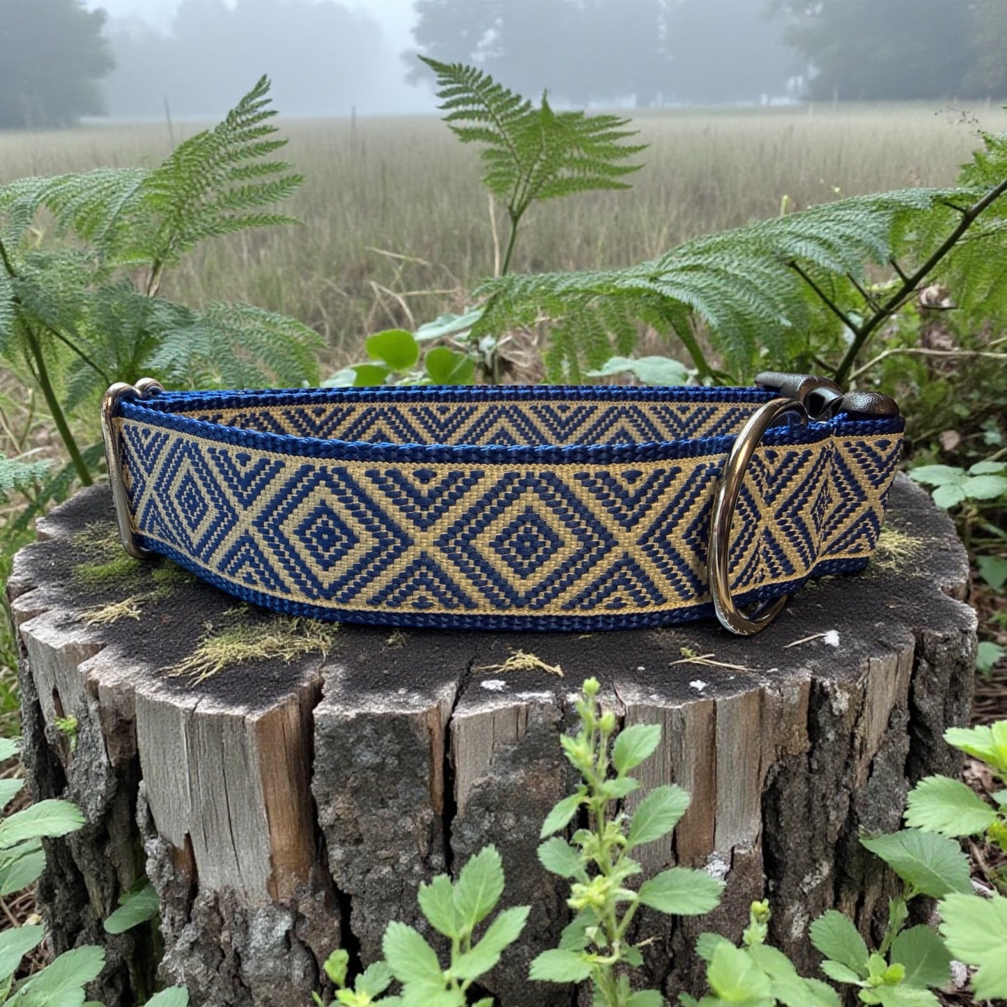 Wide Dog Collar, 1.5 Inch Width