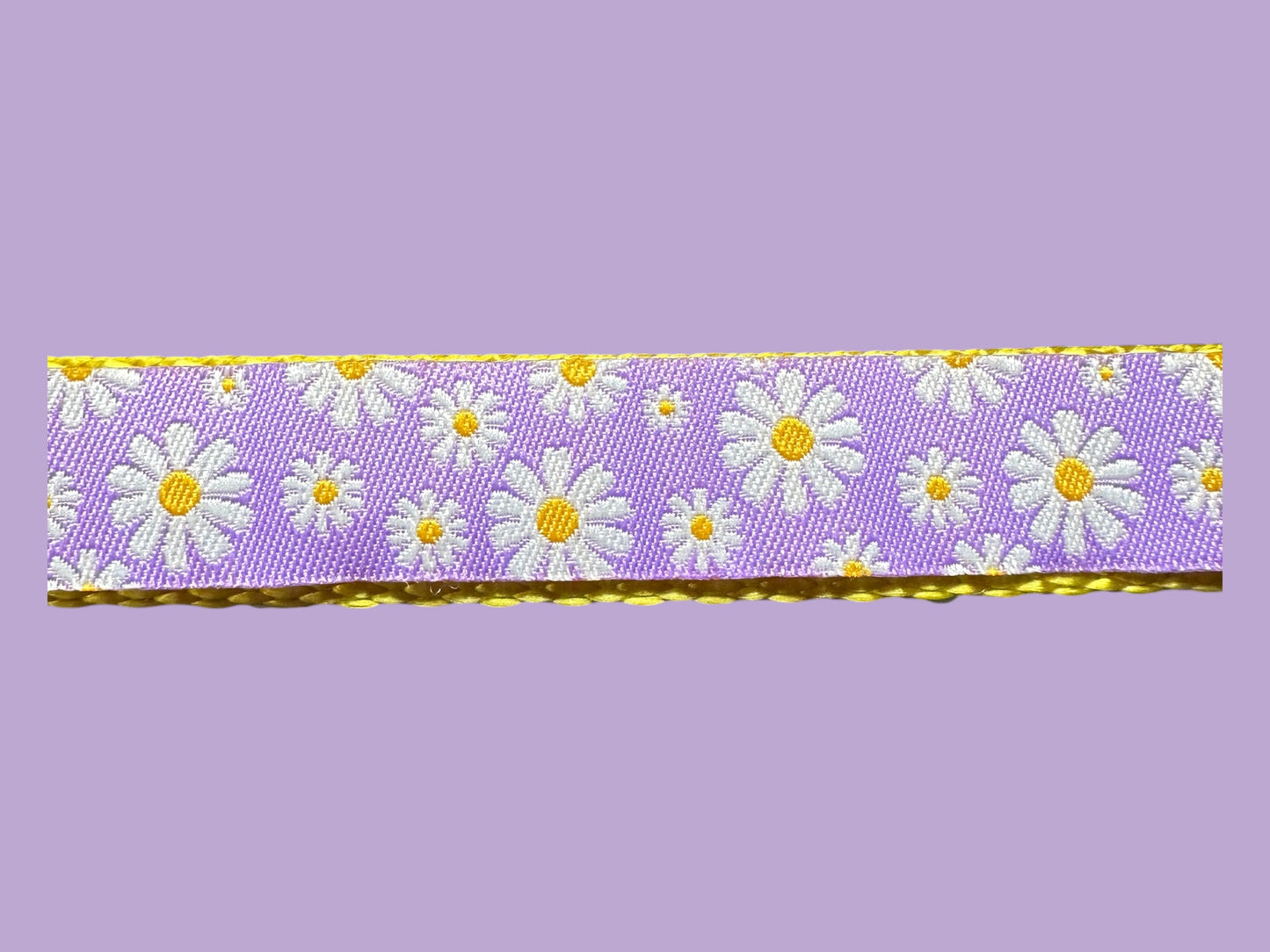 Pink or Purple Daisy Dog Collar – Optional Personalized Engraved Metal Buckle - Winni&Me Woofwear