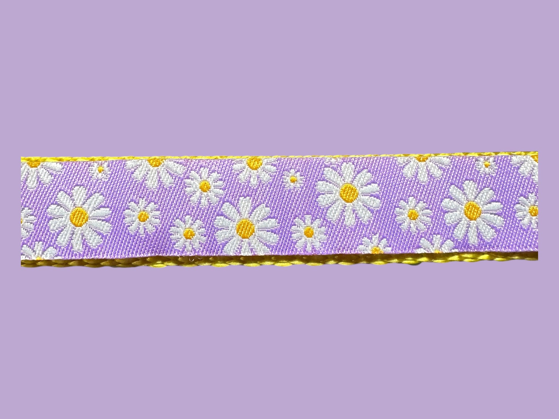 Pink or Purple Daisy Dog Collar – Optional Personalized Engraved Metal Buckle - Winni&Me Woofwear