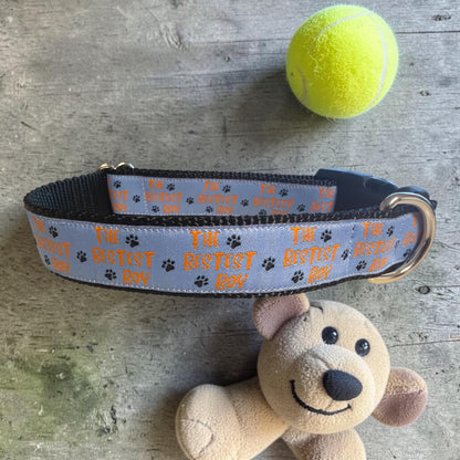 The Bestest Boy Dog Collar