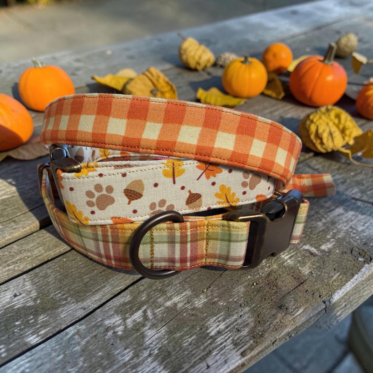 Fall Inspired Dog Collars