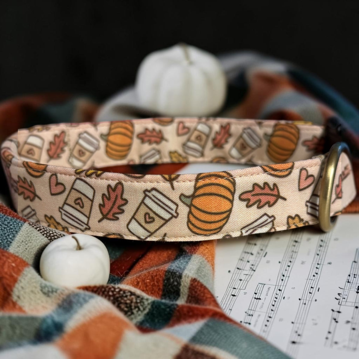 Fall Inspired Dog Collars